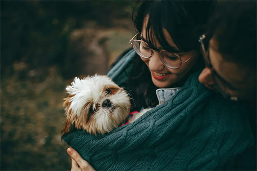 Dog Fever Symptoms: 5 Warning Signs Every Pet Owner Should Know